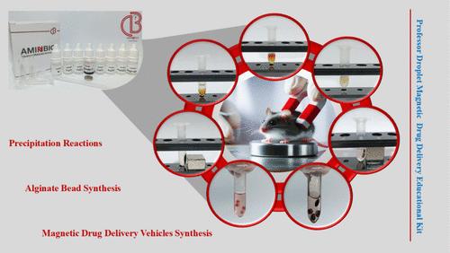 Droplet-Based Educational Kit for Young Students: Hands-On Experiments from Precipitation Reactions to Magnetic Drug Delivery