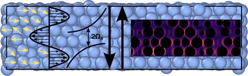 Plasmon Polaritons in Disordered Nanoparticle Assemblies
