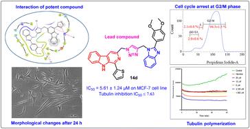 Design, synthesis, and cytotoxicity evaluation of 1,2,3-triazole-linked β-carboline–benzimidazole hybrids as tubulin polymerization inhibitors