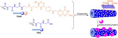 A simple coassembly system for facile preparation of surface-modified organic nanotubes: folate-functionalized organic nanotubes for potential biological applications
