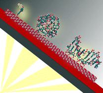 Beyond traditional photosensitizers in DSSCs: harnessing the optical properties of noble metal nanoclusters