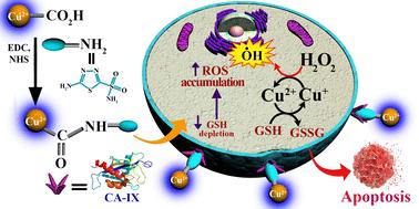 Carbonic anhydrase-IX targeted copper-doped carbon dots as a theranostic probe for treating triple negative breast cancer