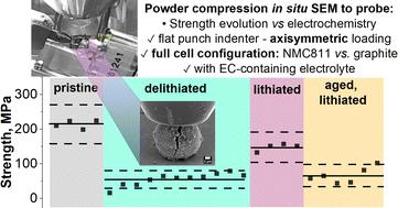 Investigating the effect of lithiation on polycrystalline NMC811 Li-ion battery cathode cracking using in situ SEM micromechanical testing