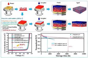 Freezing the p–i–n interlayer with a symmetric phenolic compound to achieve favorable vertical morphology and efficient pseudo-planar heterojunction organic solar cells with excellent stability