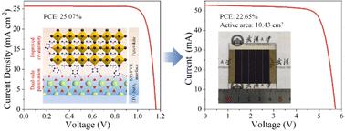 A universal strategy toward homogenized metal oxide/perovskite contact for efficient solar cells and modules fabricated in ambient air