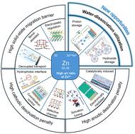 Interfacial energy storage in aqueous zinc-ion batteries