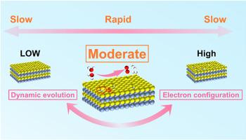 Dynamic tuning of d-p orbital hybridization during sulfur vacancy evolution in Co9S8 toward efficient overall water splitting