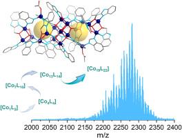 Tandem assembly-disassembly-reassembly of hierarchical Co19 coordination cluster facilitated by in-situ ligand transformation: Crystallography and ESI-MS revealed mechanism