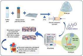 An electrically conductive gellan gum/polyvinyl alcohol interpenetrating network hydrogel: a dual crosslinked 3D printing ink for cardiac tissue