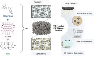 Conducting composite scaffolds for antibacterial drug release and in situ electrochemical monitoring of bacterial growth