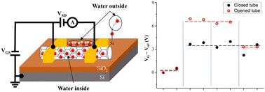 Electronic fingerprints of confined and adsorbed water in SWCNTs