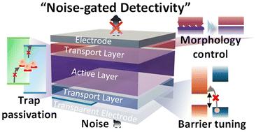 Specific detectivity-oriented low-noise management in organic photodetectors