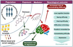 Double-edged implications of triclosan for the neuroendocrine system: evidence from the national health and nutrition examination survey (2011–2014 NHANES)