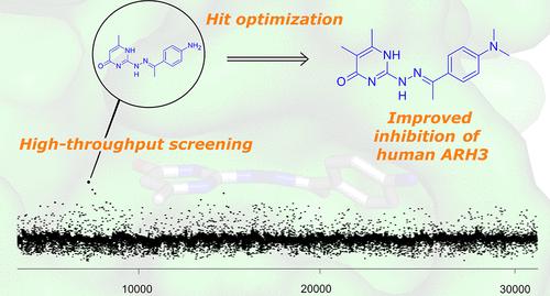 Discovery and Structural Optimization of 2-Hydrazinopyrimidin-4-one Analogs Inhibiting Human ADP-Ribosylhydrolase ARH3