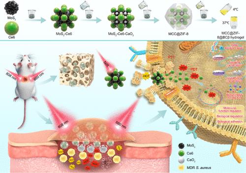 Self-Oxygenating Nano-Thermosensitive Hydrogel System Integrated with Photothermal/Photodynamic Therapy for Antibacterial Therapy and Enhanced Wound Healing