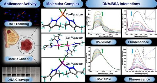 Pyrazole-Infused Metal Complexes: Anticancer Activity, DNA Cleavage, and Biophysical Insights into DNA/BSA Interactions