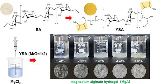 Preparation of Yellow Sodium Alginate Capable of Cross-Linking with Mg2+ to Form the Hydrogel of Magnesium Alginate Quickly and Easily