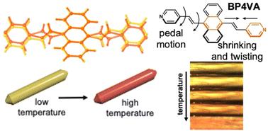 Temperature-driven molecular dynamics initiate thermochromism and luminescence modulation in an anthracene-based organic semiconductor crystal