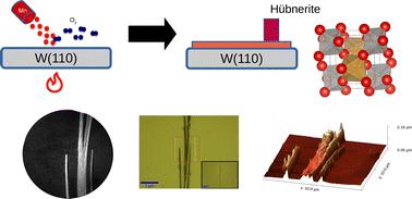 Growth of MnWO4 nanowires on W(110) by high-temperature oxygen-assisted molecular beam epitaxy