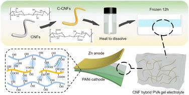 A high strength and dendrite free low-temperature nanocellulose composite PVA gel electrolyte for zinc ion batteries