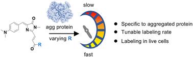 A rapid covalent tracer to image aggresomes in stressed live cells