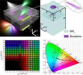 Carrier density tunability and encryption in plasmonic structural colors via dual-layer borophene nanodisk metasurfaces
