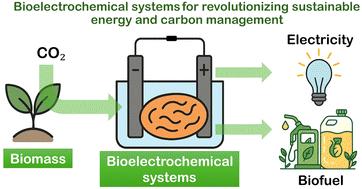 Bioelectrochemical systems and engineered living materials: a tutorial on carbon capture and sustainable energy
