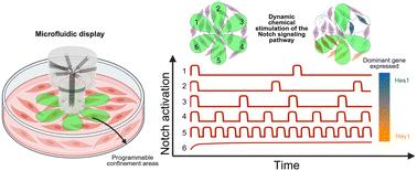 Open-space microfluidics as a tool to study signaling dynamics