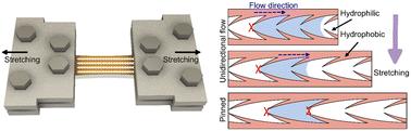 Micro elastofluidic liquid diode for programmable unidirectional flow control