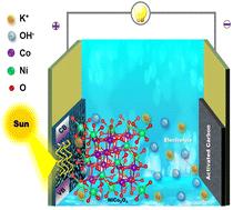 Unveiling charge dynamics in high-performance binder-free photo-rechargeable supercapacitors