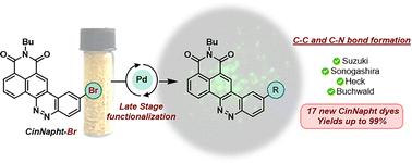 Synthesis of π-extended CinNapht fluorophores via late-stage Pd-catalyzed C–N and C–C bond formation and application for selective imaging of lipid droplets in living cells