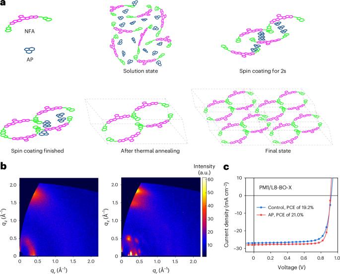 Increasing the efficiency of binary organic solar cells through a two-step crystallization process