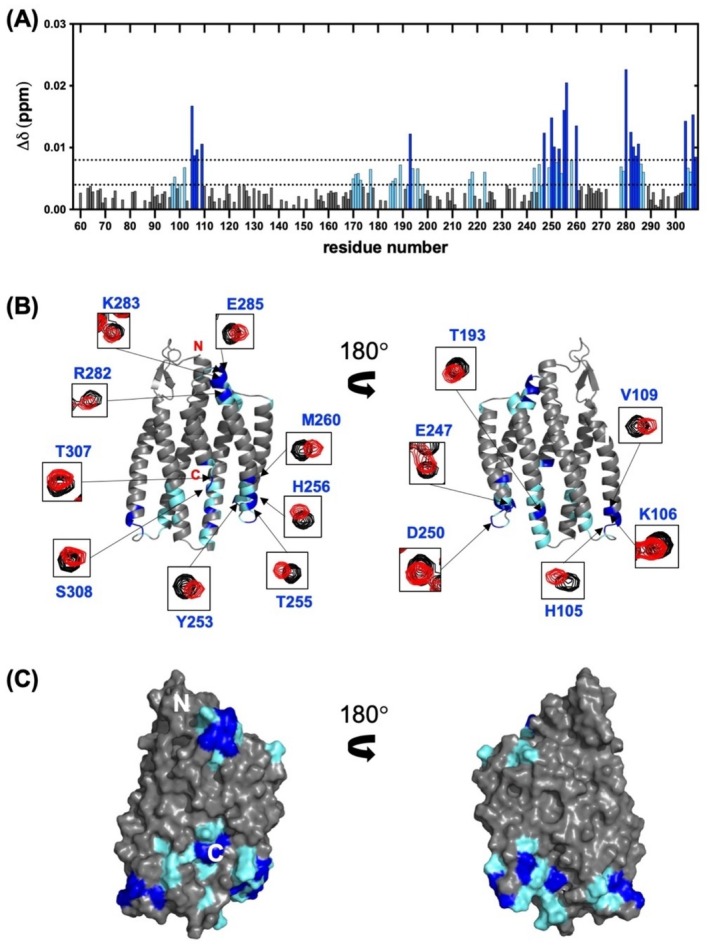 Structural and Functional Characterization of the 28 kDa Structured Core of BmSA1, the Major Surface Antigen of Babesia Microti.