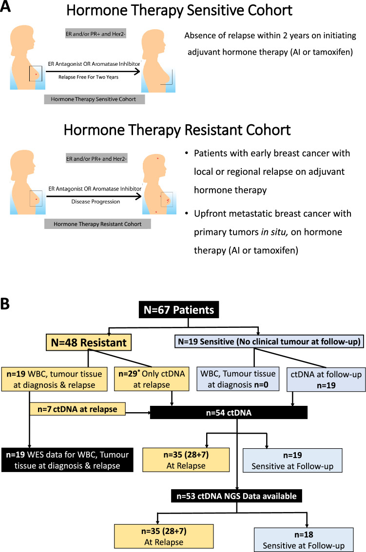 Genomic landscape of hormone therapy-resistant HR-positive, HER2-negative breast cancer.