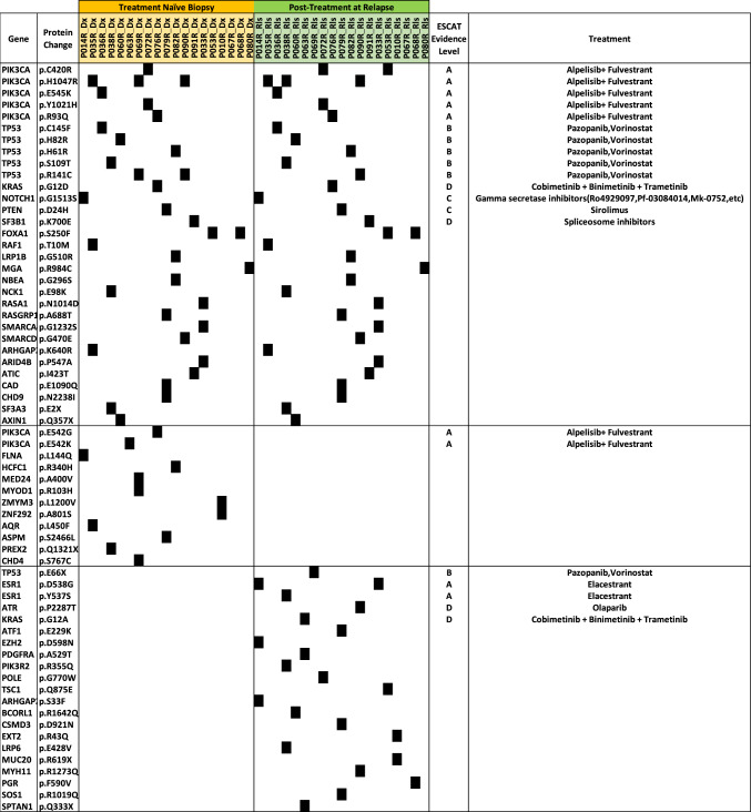Genomic landscape of hormone therapy-resistant HR-positive, HER2-negative breast cancer.