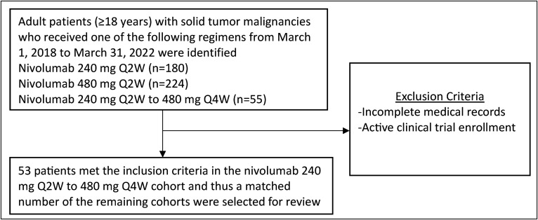 Evaluation of safety outcomes between nivolumab regimens with differing dosing patterns.