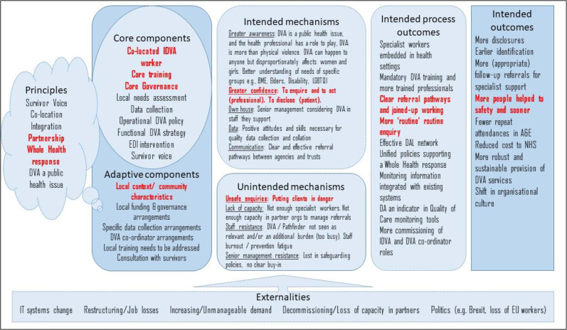 A Realist Evaluation of a "Whole Health" Response to Domestic Violence and Abuse in the UK.