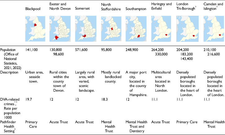 A Realist Evaluation of a "Whole Health" Response to Domestic Violence and Abuse in the UK.