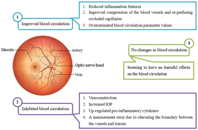 Effects of anti‑VEGF on peripapillary retinal nerve fiber layer and papillary/peripapillary blood circulation in retinopathies (Review).