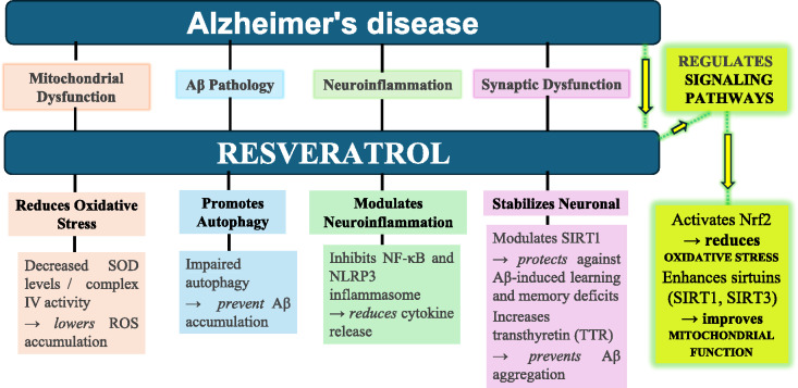Bridging the molecular and clinical aspects of resveratrol in Alzheimer's disease: a review.