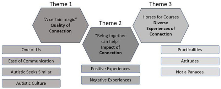 'A certain magic' - autistic adults' experiences of interacting with other autistic people and its relation to Quality of Life: A systematic review and thematic meta-synthesis.
