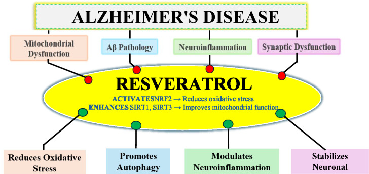 Bridging the molecular and clinical aspects of resveratrol in Alzheimer's disease: a review.