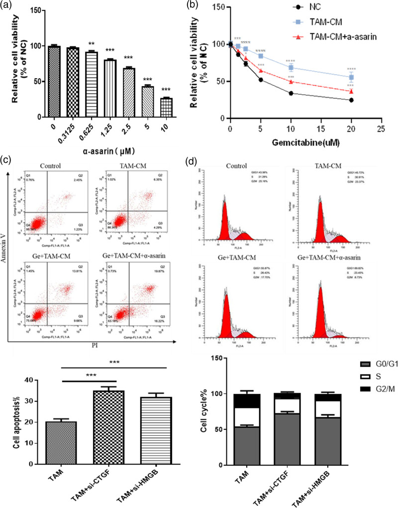 α-Asarone attenuates tumor-associated macrophages-induced gemcitabine resistance in pancreatic carcinoma via the transforming growth factor-beta 1/growth factor independent 1 axis.