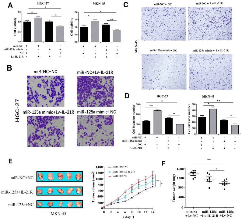 [Corrigendum] IL‑21R functions as an oncogenic factor and is regulated by the lncRNA MALAT1/miR‑125a‑3p axis in gastric cancer.