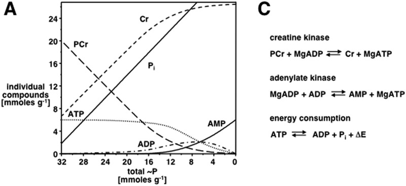 Creatine monohydrate supplementation for older adults and clinical populations.