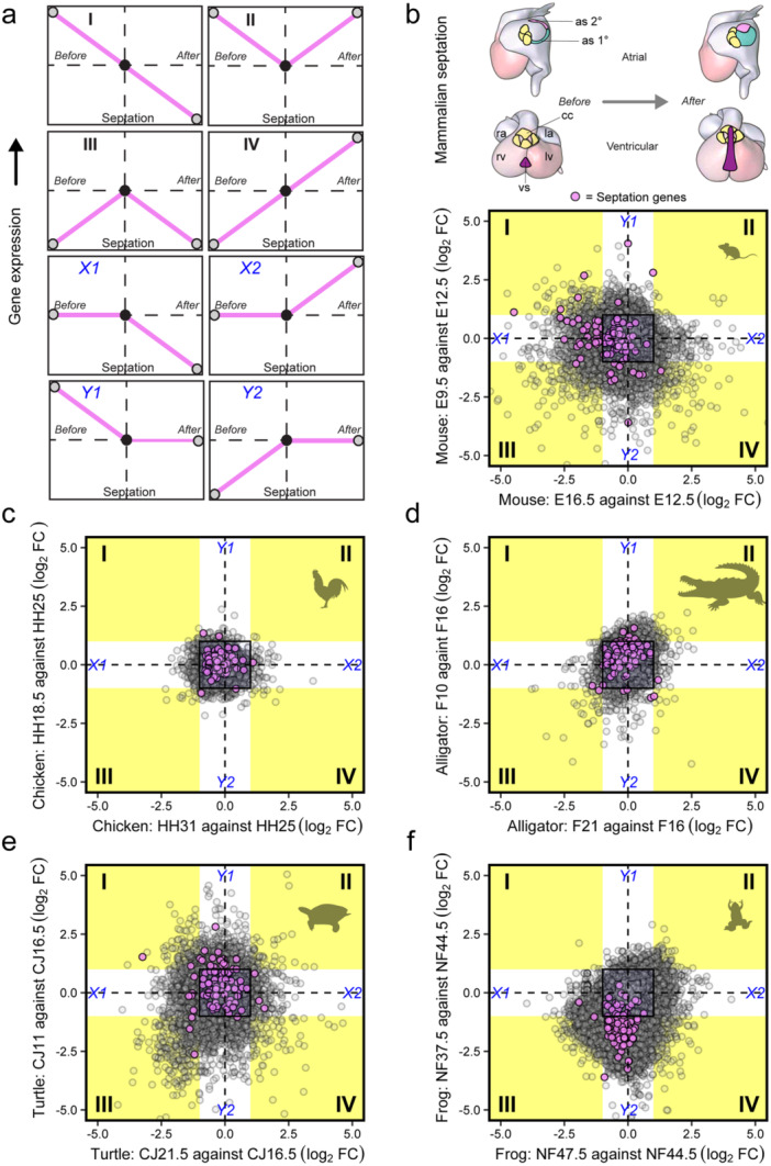 The Interplay of Ontogeny and Phylogeny at the Transcriptome Level of the Tetrapod Heart.