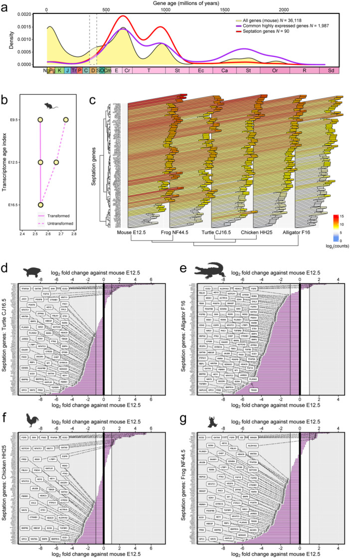 The Interplay of Ontogeny and Phylogeny at the Transcriptome Level of the Tetrapod Heart.