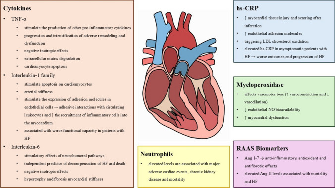 A Comprehensive Review: Unraveling the Role of Inflammation in the Etiology of Heart Failure.