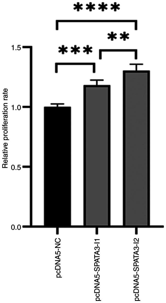 Roles of human SPATA3 in cell proliferation and expression pattern of <i>Spata3</i> in mouse testis.