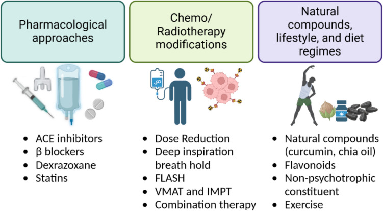 Cancer therapy-induced cardiotoxicity: mechanisms and mitigations.